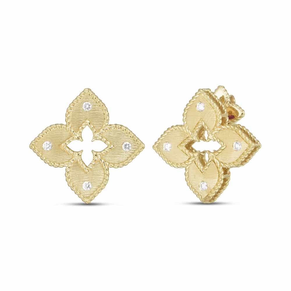 Hard earrings