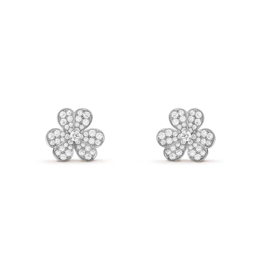 Ag earrings